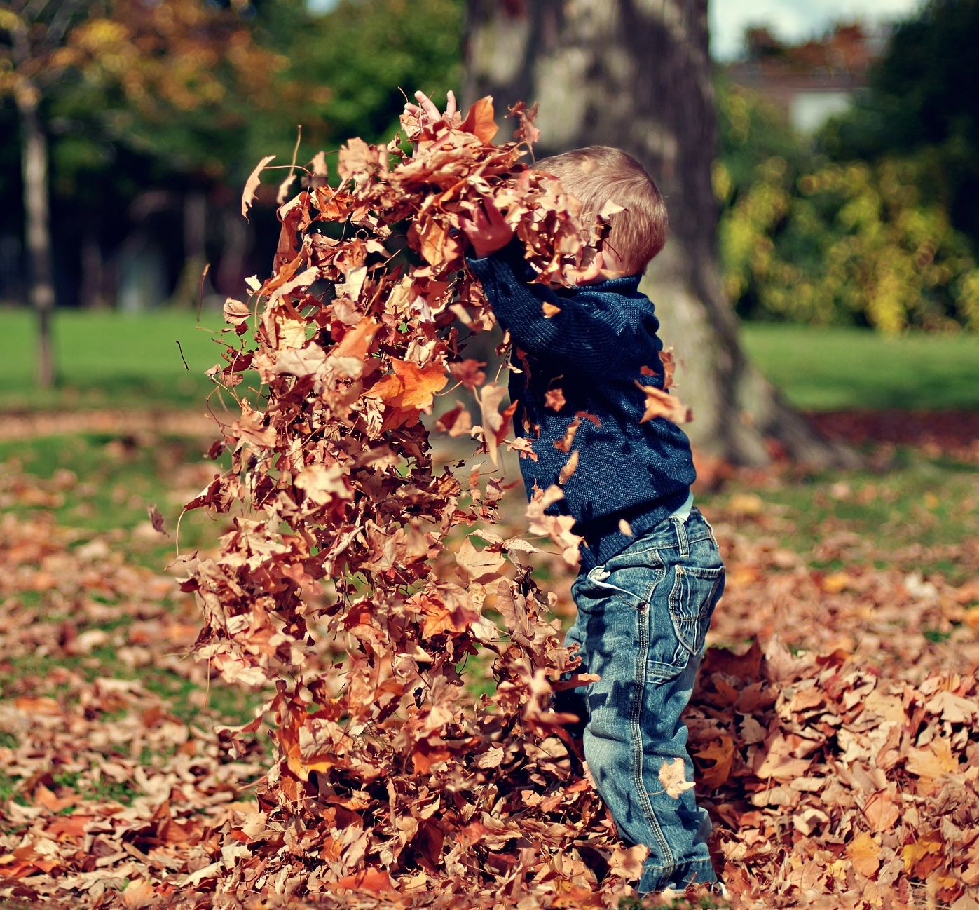 Kind spielt mit Laub